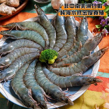 【鮮綠生活】（免運）巨無霸白蝦蝦后約18公分~買越多越便宜!