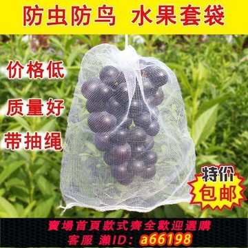 【台灣公司 可開發票】果樹防蟲網袋防鳥紗網袋保護葡萄袋無花果番石榴草莓套袋桃子套袋