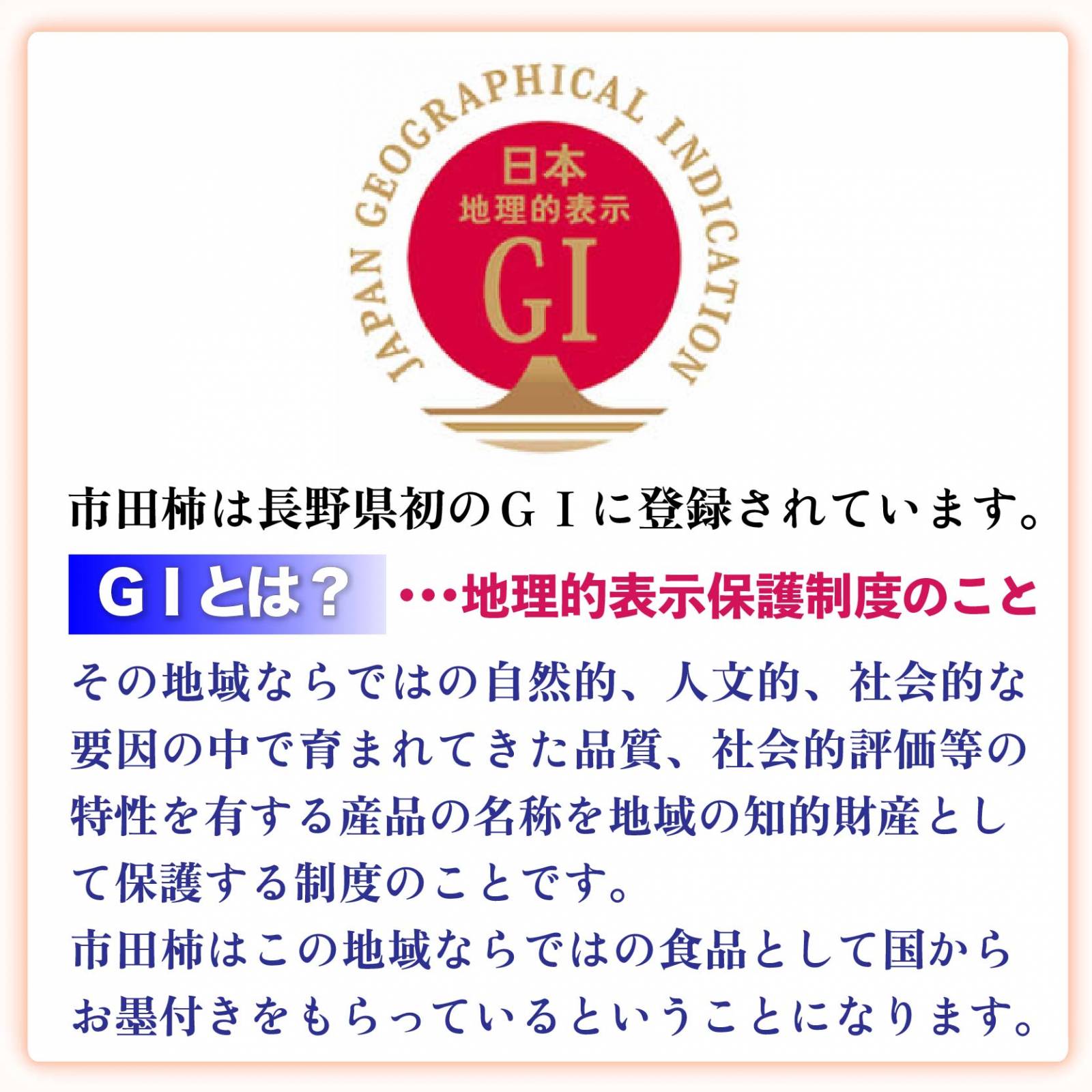 [予約 2023年 11月5日-12月20日の納品] 市田柿 約700g いちだ柿 長野県産 産地化粧箱  冬ギフト 御歳暮 お歳暮 御年賀 お年賀 GI地理的表示農作物