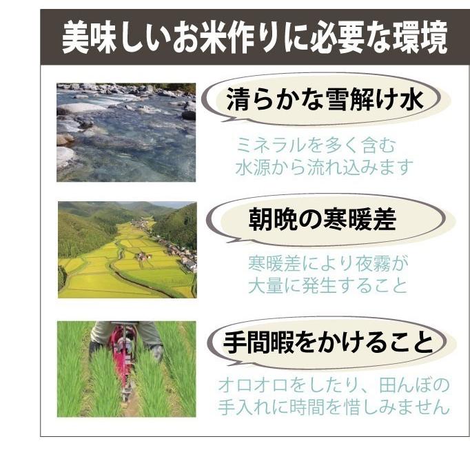 新米 農家直売  お米3kg 小袋 2合×10袋 魚沼産コシヒカリ 無洗米 令和５年 魚沼市推奨ブランド米認定米