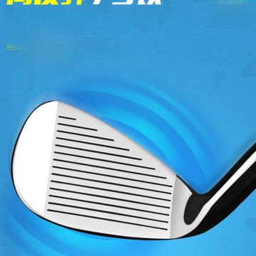 日本FS 高爾夫球桿 男童女童球具 兒童球桿 初學 7號鐵 非玩具可