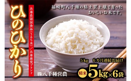 兵庫県福崎町産 ひのひかり 八千種米5kg×6回 精米 ６ヶ月連続お届け 兵庫県認証食品（うるち米）兵庫推奨ブランド