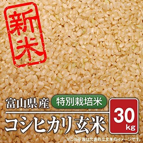 富山県産 特別栽培米コシヒカリ（令和3年）30kg