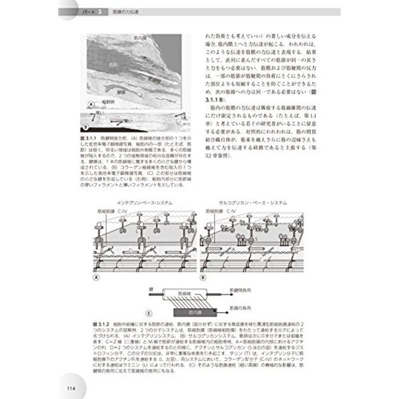 人体の張力ネットワーク 膜・筋膜?最新知見と治療アプローチ