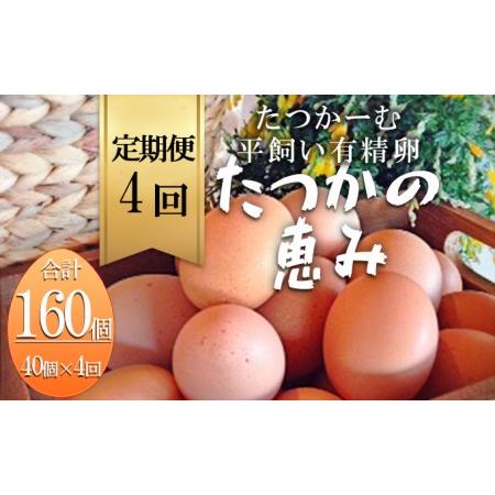 ふるさと納税 平飼い有精卵『たつかの恵み』40個×4ヶ月連続お届け