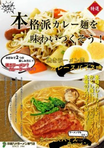 焼きラーメン 濃厚カレースープで味わう お試し 6人前 カレースパイス  カロリー控えめ 310Kcal 本格スパイス入り 焼きそば