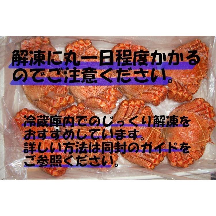 毛ガニ 北海道産 約500g×2尾入り ボイル済 送料無料 ギフト 毛がに カニ かに 蟹