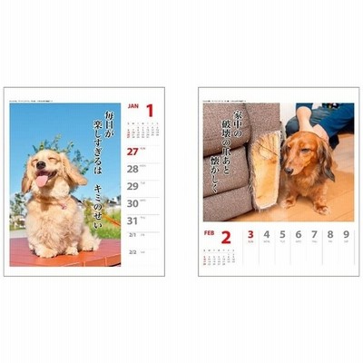 壁掛け 卓上 22カレンダー ダックス犬川柳 週めくり スケジュール いぬ Apj Vol 007 9月より発送開始 通販 Lineポイント最大get Lineショッピング