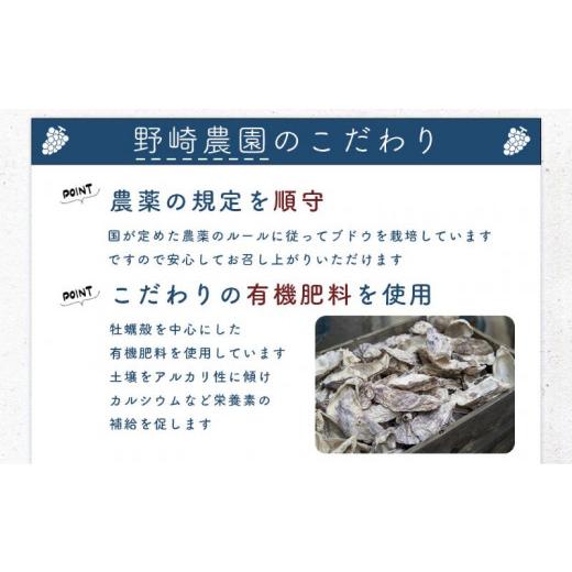 ふるさと納税 北海道 余市町 Cセット　