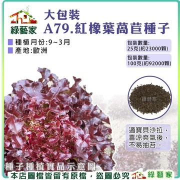 大包裝A79.紅橡葉萵苣種子(紅橡木萵苣) 2規格可選 橡葉萵苣 萵苣種子 蔬菜種子 沙拉葉 【綠藝家】