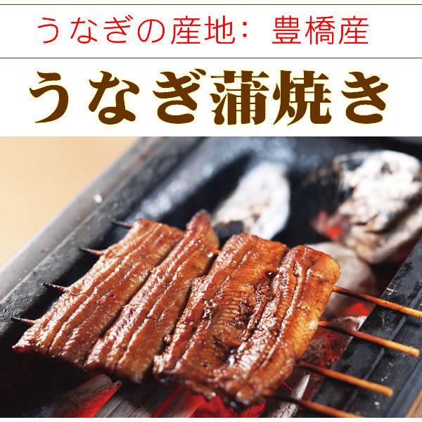 うなぎ 蒲焼き 鰻 国産 うなぎ ご飯のお供 たれ付 うなぎ蒲焼き 3尾　ギフトセット