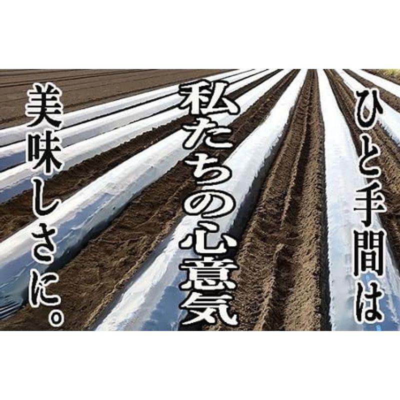 さつま芋 黄金千貫 20ｋｇ 鹿児島県産