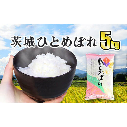 令和5年産 茨城ひとめぼれ 5kg 1袋 ひとめぼれ 白米 精米 ごはん お米 国産 茨城県産 守谷市 送料無料