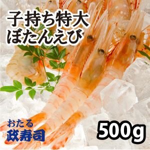 子持ち特大ぼたんえび　約500ｇ（7本前後）