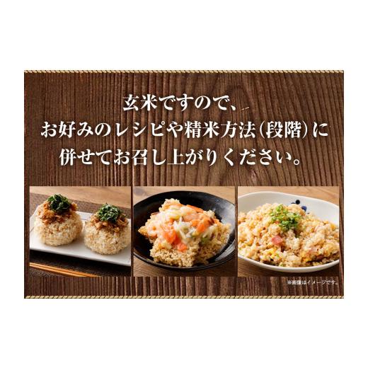 ふるさと納税 高知県 土佐清水市 令和6年産 新米コシヒカリ玄米５kg（１袋）お米 健康食品 食物繊維