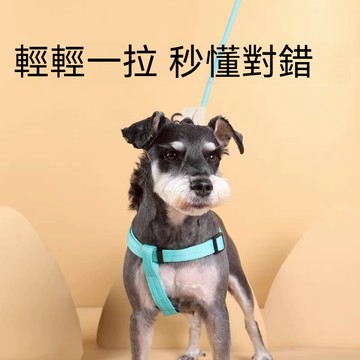 熱銷//寵物胸背帶 狗狗背帶 寵物牽引繩 狗背帶 防暴衝胸背帶 狗狗背帶 小中大型犬胸背帶 寵物牽繩 防爆沖繩子