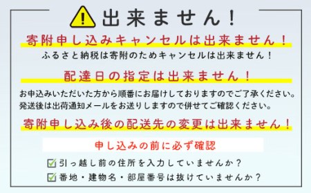 新 いくら 醤油漬け 100g×6パック（鱒卵）いくら イクラ 小分け 醤油漬け 鱒卵 森町 いくら醤油漬け しょうゆ漬け 海産物 加工品 ふるさと納税 北海道 ＜ワイエスフーズ＞ mr1-0424