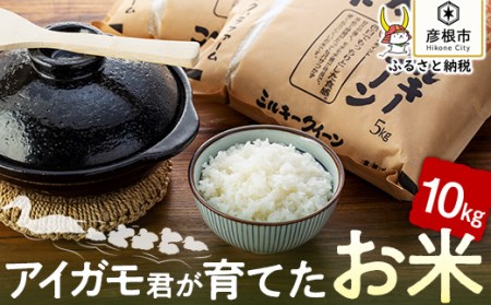 有機JAS認証「アイガモ君が育てたお米」食べ比べ 5kg×2