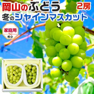 シャインマスカット2～3房 約1～1.2kg 岡山県産 クリスマス・家族向けお歳暮・ギフト 高級フルーツ 果物 ぶどう…