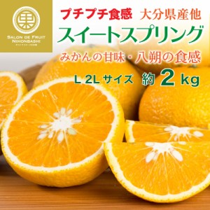 [予約 2024年1月中旬頃から発送] スイートスプリング 約2kg L 2Lサイズ 大分県産ほか 化粧箱 お年賀 御年賀