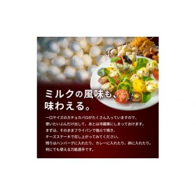 ふるさと納税 余市町 北島農場のフランクチーズなどビールに良く合う9点セット_Y081-0010