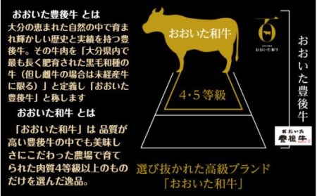 1854R_おおいた和牛・贅沢・焼肉セット