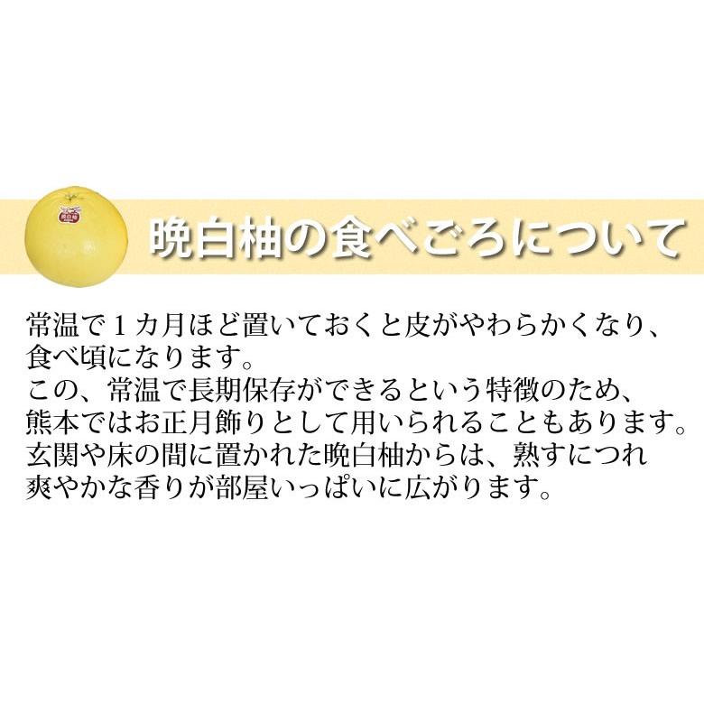 晩白柚 みかん ばんぺいゆ 送料無料 特選 約3kg〜4kg 2玉入 M〜2Lサイズ  世界最大級の柑橘 熊本県八代産 蜜柑 ミカン