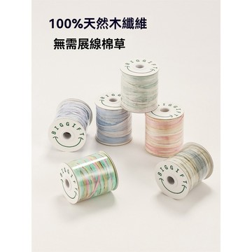 BIGGIFT不丁手作#棉草線 40g 和紙拉菲草線 100%棉草 韓國毛線 編織包包 diy包包線