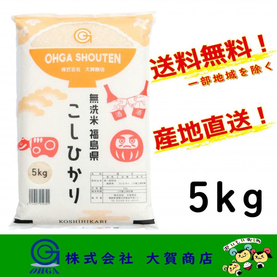 新米 5年産 お米 米 無洗米 コシヒカリ 5kg 福島県産 白米 送料無料 福島県中通り産コシヒカリ5kg 無洗米