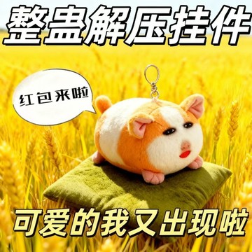 ⚡臺灣出貨⚡新款荷蘭豬妞語音鑰匙扣掛件搞怪表情包仙女下凡毛絨包玩偶