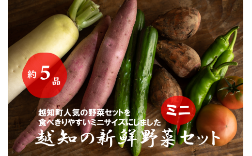 越知産市の季節の野菜ミニセット　産地直送　旬野菜