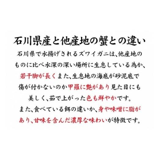 ふるさと納税 石川県 加賀市 石川県産 加能かに／ズワイガニ 産地証明タグ付 中サイズ 2匹   香箱かに 3匹 詰合せ 1〜2人前