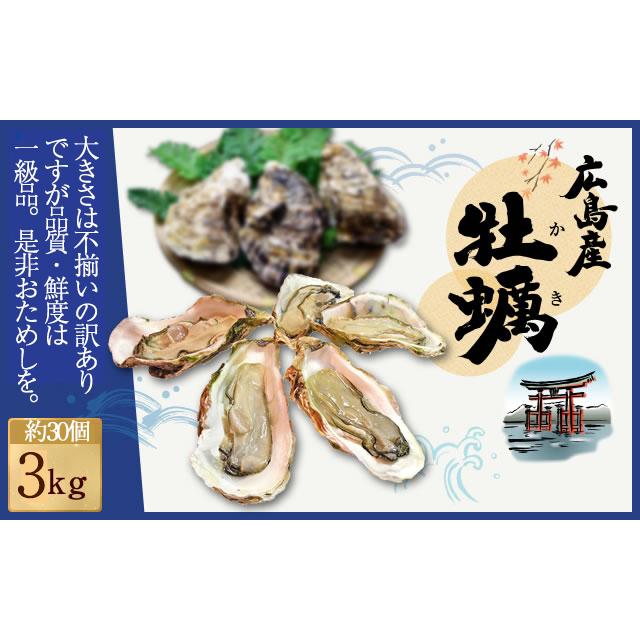 広島産 殻付き 牡蠣 訳あり 3キロ(約30個) カンカン焼き ガンガン焼　カキ かき 宮島 BBQ ナイフ 軍手付 ギフト 取り寄せ