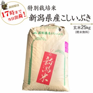 新米 玄米25kg 新潟県産こしいぶき 特別栽培米 令和5年産 精米無料 送料無料(一部地域のぞく)