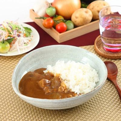 素材のよさを生かしてつくられた 懐かし味の華カレー＆牛の華カレー3種6個セット 送料無料 ポイント消化