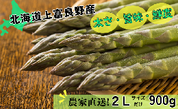  北海道 上富良野産 アスパラガス 2L サイズ 900g アスパラ 上富良野町 令和6年発送 先行予約