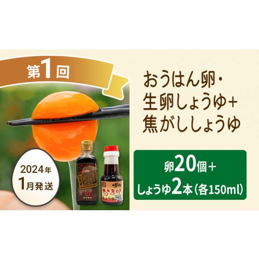 ふるさと納税 福岡県 古賀市 たまご前期定期便 6回発送（初回のみ醤油付き・たまご20個）20個×6回 合計120個 定期便 6ヶ月 卵 おうはん卵 青柳たまご 送料無…