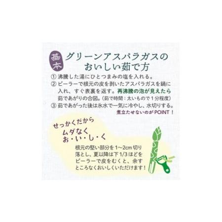 ふるさと納税 JA最上町特産グリーンアスパラ2kg 山形県最上町