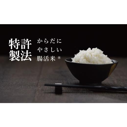 ふるさと納税 長崎県 波佐見町 特許製法の腸活米 2kg×6回 計12kg（ 無洗米 ） [VD02]