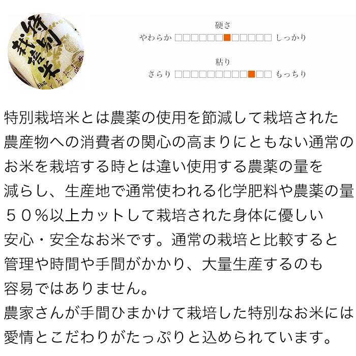 新米 米 10kg 5kg×2袋セット お米 ゆめぴりか 北海道産 特別栽培米 白米 令和5年産 送料無料