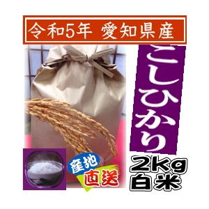 新米 白米 こしひかり 2kg 令和5年産 愛知県産