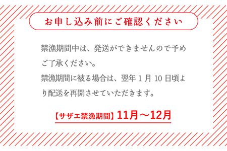 平戸産を活きたまま天然活サザエ計10.8kg約1.8kg×6回[KAB163]  長崎 平戸 魚介類 天然 サザエ 定期便