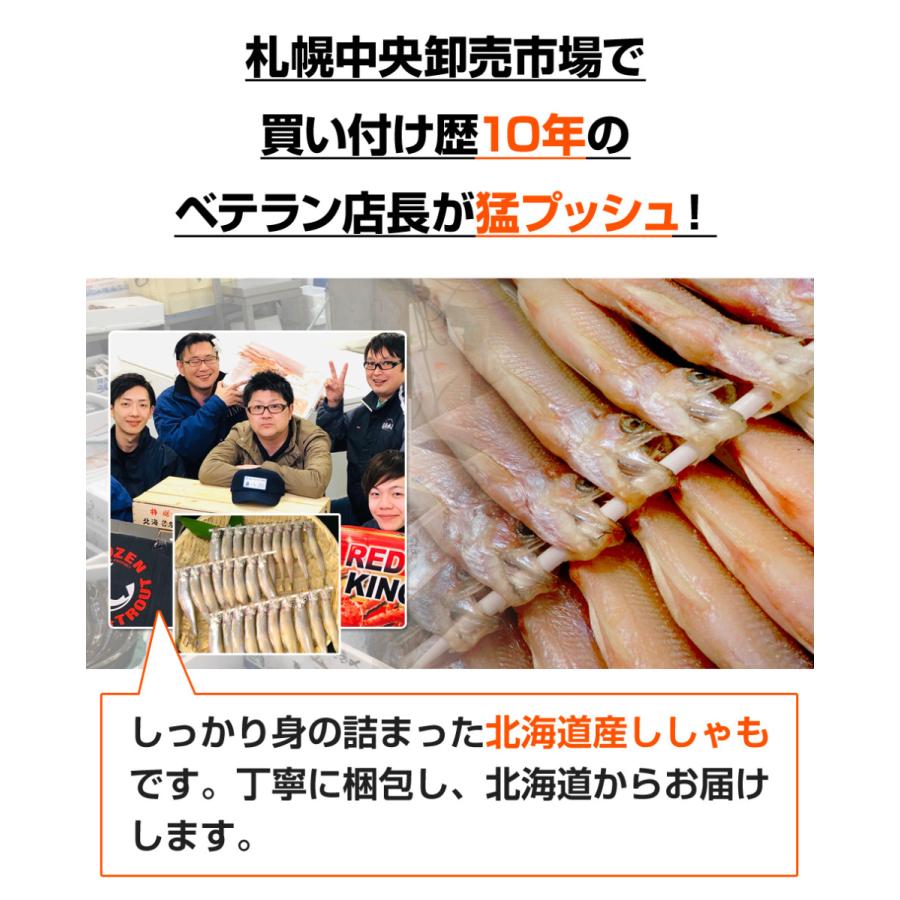 北海道産 本ししゃも メス30尾 送料0円 本物ししゃも ししゃも シシャモ Shishamo 柳葉魚 道産ししゃも 干物 魚 肴 お正月 お歳暮