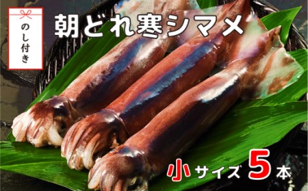 朝どれ寒シマメ小サイズセット（160-200ｇ×5）お歳暮にも