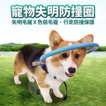 【小狐狸寵物】寵物失明防撞圈 狗狗失明防撞 盲犬貓安全圈 寵物項圈 白內障寵物保護圈 狗貓防撞環  導盲圈 防止寵物碰撞