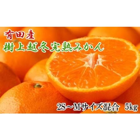 ふるさと納税 有田産樹上越冬完熟みかん5kg（2S〜Mサイズ混合・赤秀）★2024年1月下旬頃より順次発送 和歌山県有田川町