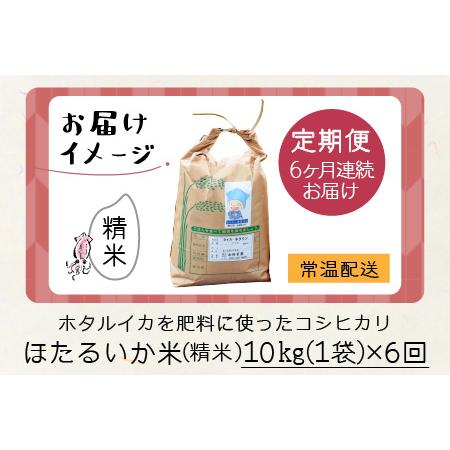 ふるさと納税 ほたるいか米（精米10kg）×6回 計60kg 富山県滑川市