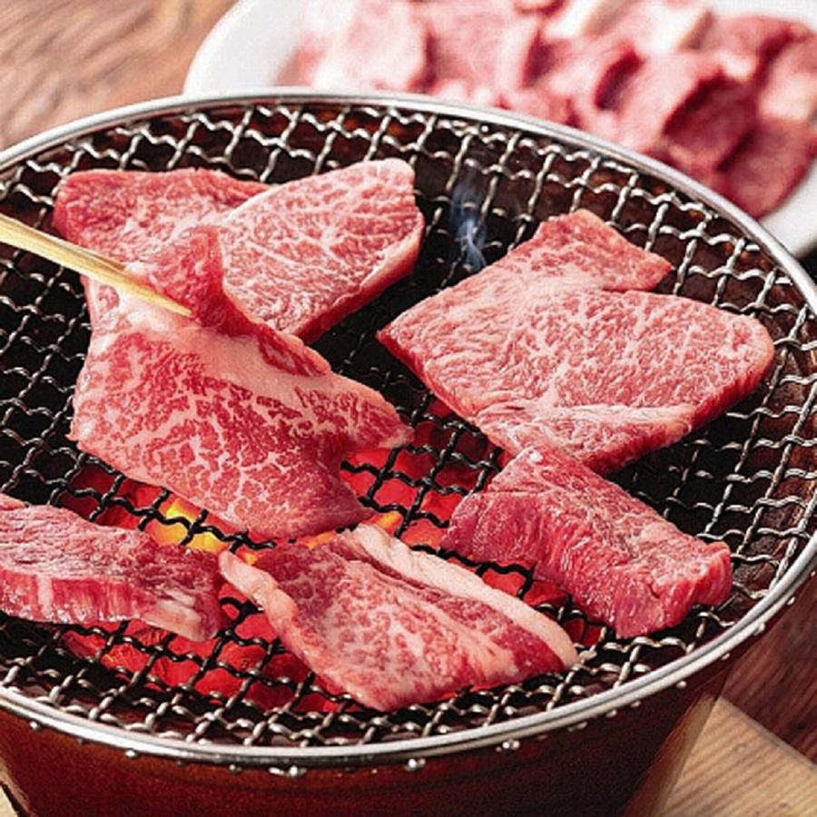 長野 信州プレミアム牛肉焼肉 モモ バラ 600g    送料無料 北海道・沖縄・離島は配送不可)