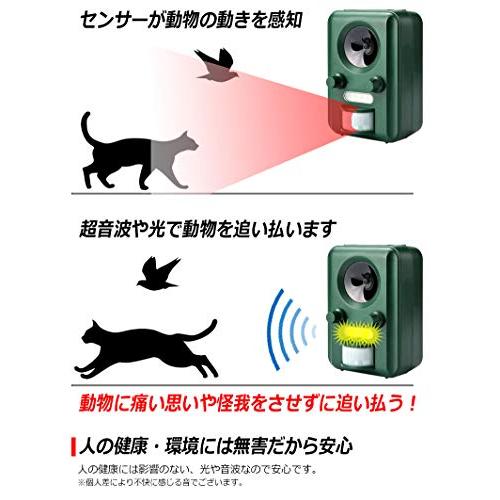  猫よけ 超音波 光で 動物 よせつけない アニマルガーディアン 害獣 追い払う 動物避