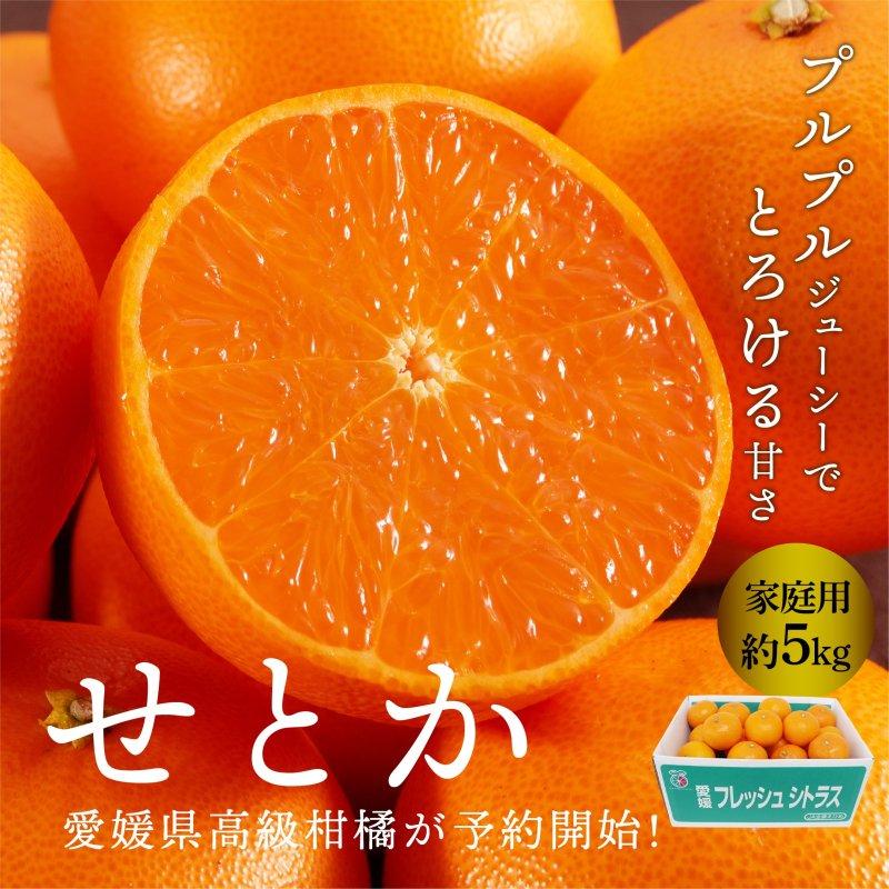 せとか 家庭用 良品 5kg L~4Lサイズ 送料無料 愛媛県産 産地直送 ミカン 高級柑橘 2023 ギフト グルメ 予約商品